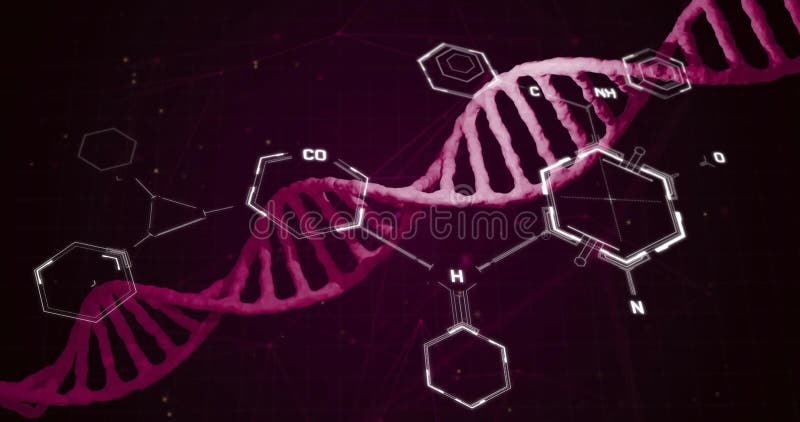 Animația formulei chimice asupra lanțului adn vector illustration