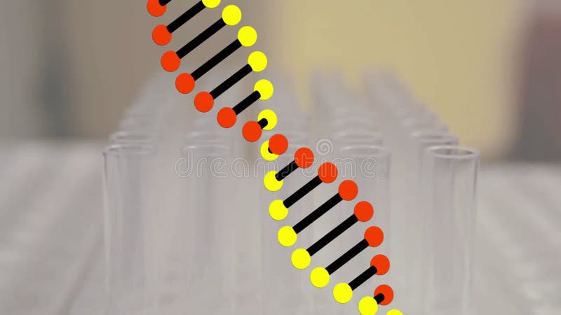 Animația lanțului adn pe tuburile de testare stock video