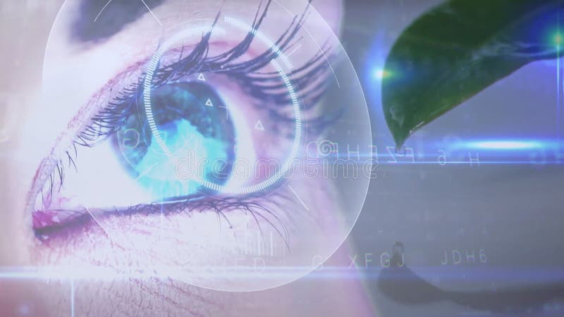 Animering överlägg på ögat med grönblad som skapar ett framtida digitalt gränssnitt lager videofilmer