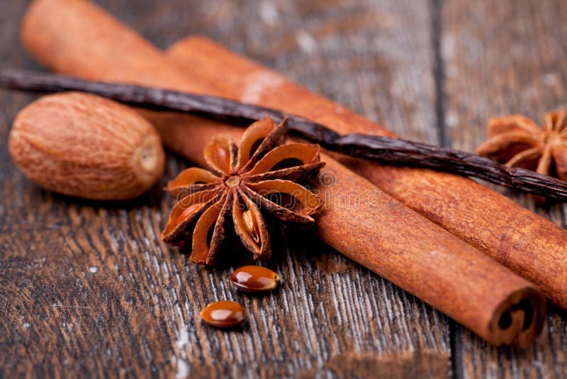 Anise-, kanel- och vaniljfröskidor royaltyfri fotografi