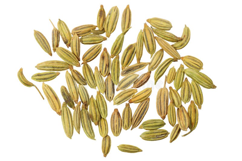 Anise Seeds stock photo. Image of dried, flavor, tieu 17431008