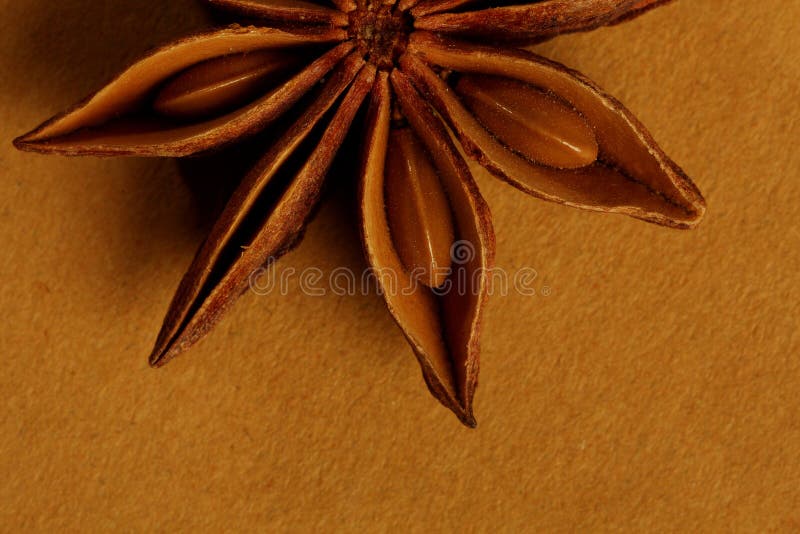 Anise Star Shaped Indian Spice Stock Image Image of masala, anise