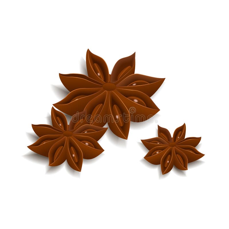 Anise star vector illustration Anise star vector illustration