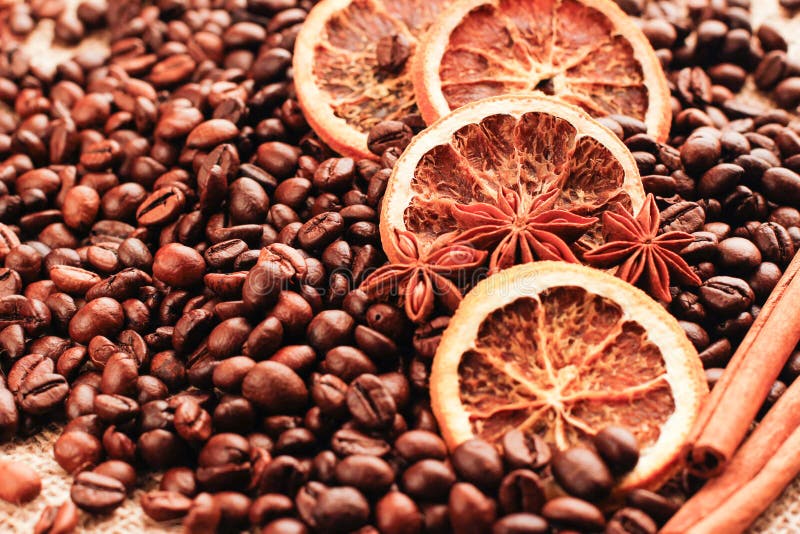 Aniseed, Cinnamon and Dried Orange on Scattered Coffee Beans Stock