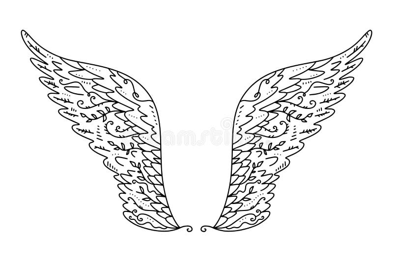 Asas de passaro estilo tatuagem Anjo Ou Asas Do Passaro Elementos Do Projeto Do Vintage Molde Decorativo Do Elemento Colorindo E Da Tatuagem Ilustracao Do Vetor Ilustracao Stock Ilustracao De Vetor Mosca 137493072