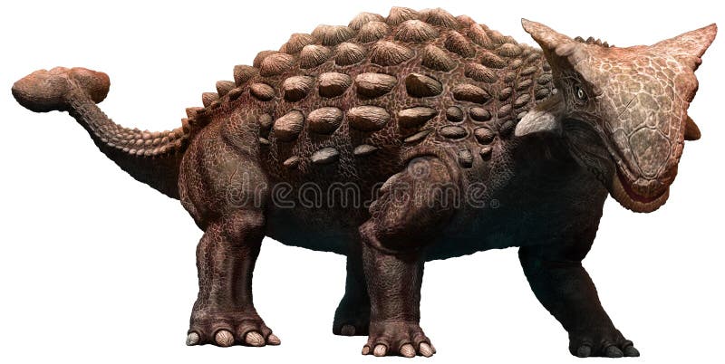 Dinosaur Toy Real Ankylosaurus Baby Ankylosaurus Dino Jurassic
