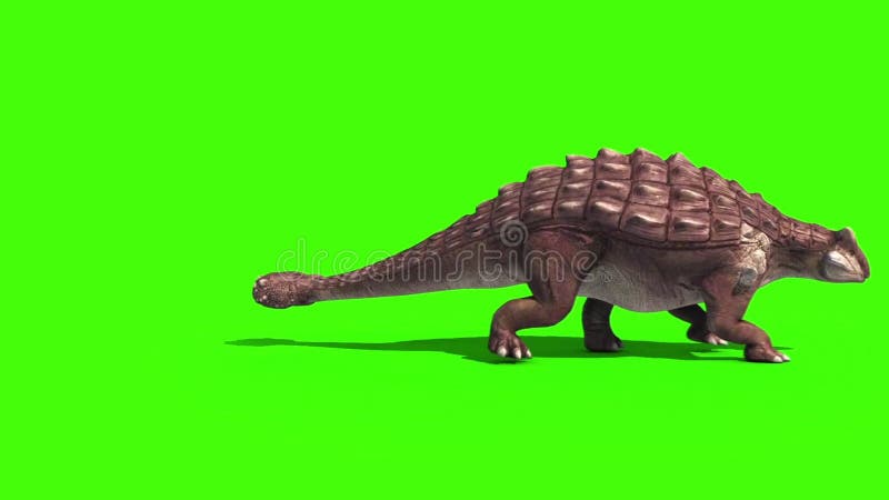 Dinosaur Videos: Download 76+ Free 4K & HD Stock Footage Clips