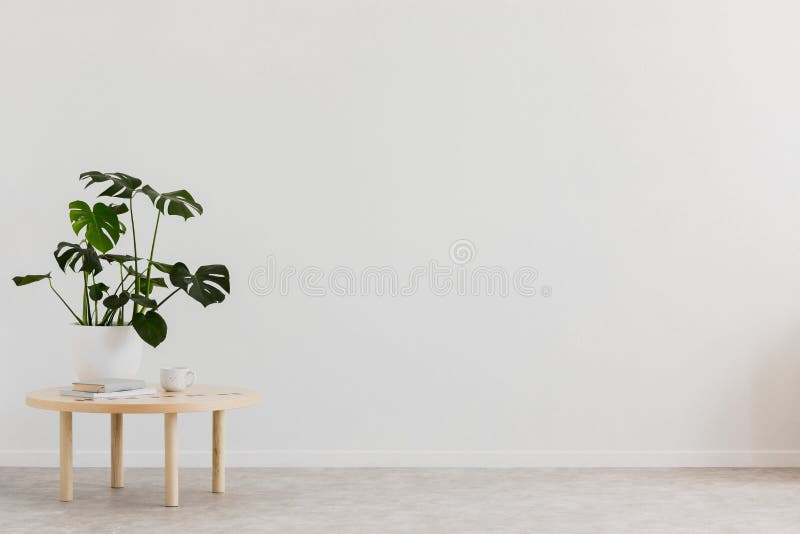 Anlage auf Holztisch gegen weiße leere Wand mit Kopienraum im Wohnzimmerinnenraum Reales Foto Platz für Ihre Möbel lizenzfreie stockbilder