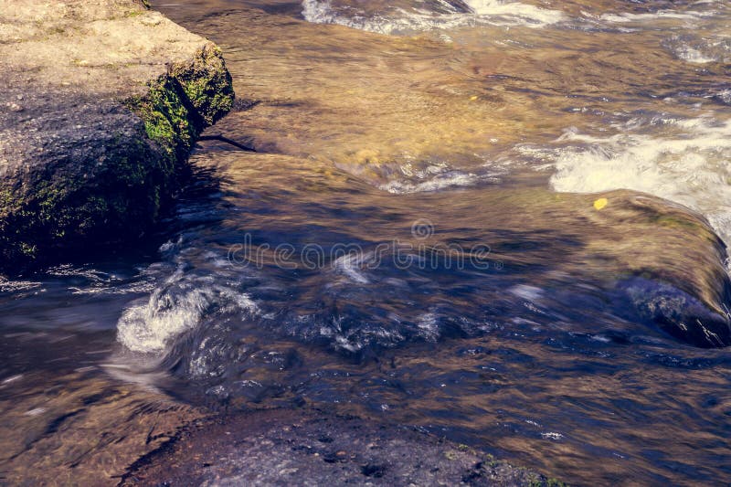 Anlagen und Steine in einem Gebirgsfluss stockfotografie Anlagen und Steine in einem Gebirgsfluss stockfotografie