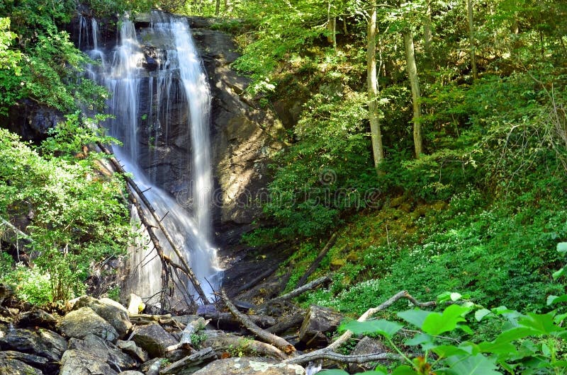 Anna Ruby Falls-waterval royalty-vrije stock afbeeldingen Anna Ruby Falls-waterval royalty-vrije stock afbeeldingen