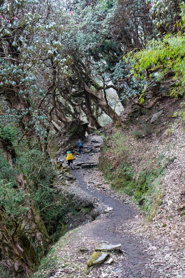 Annapurna Base Camp Trekking the spectacular trekking trails in Nepal stock photography