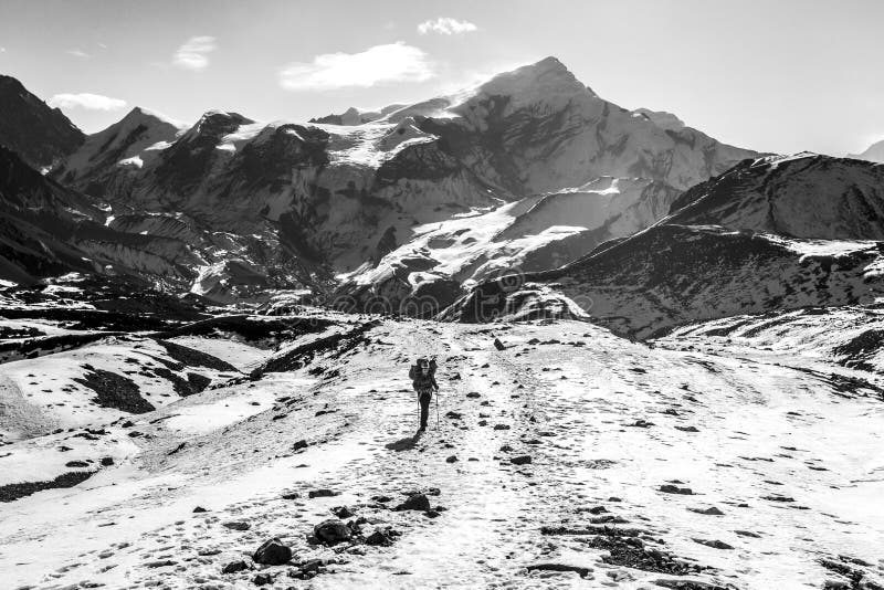 Annapurna, Népal - 16 novembre 2015 : Un randonneur se rend au col Thorong La Pass, Annapurna Trek, Himalaya image libre de droits Annapurna, Népal - 16 novembre 2015 : Un randonneur se rend au col Thorong La Pass, Annapurna Trek, Himalaya image libre de droits