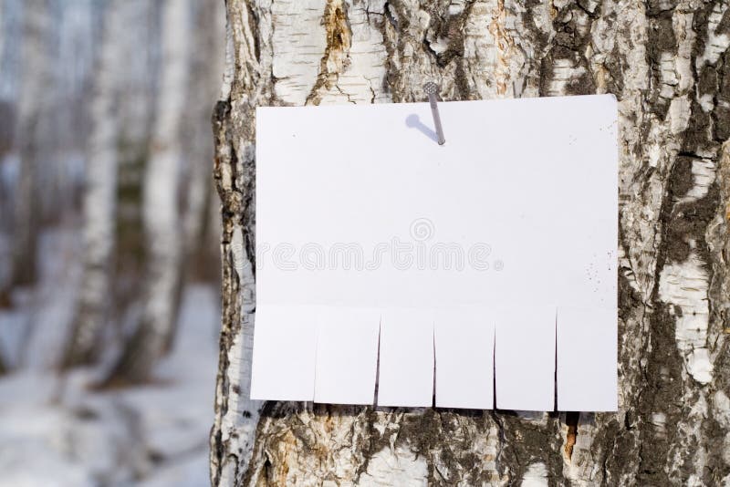 Announcement on tree