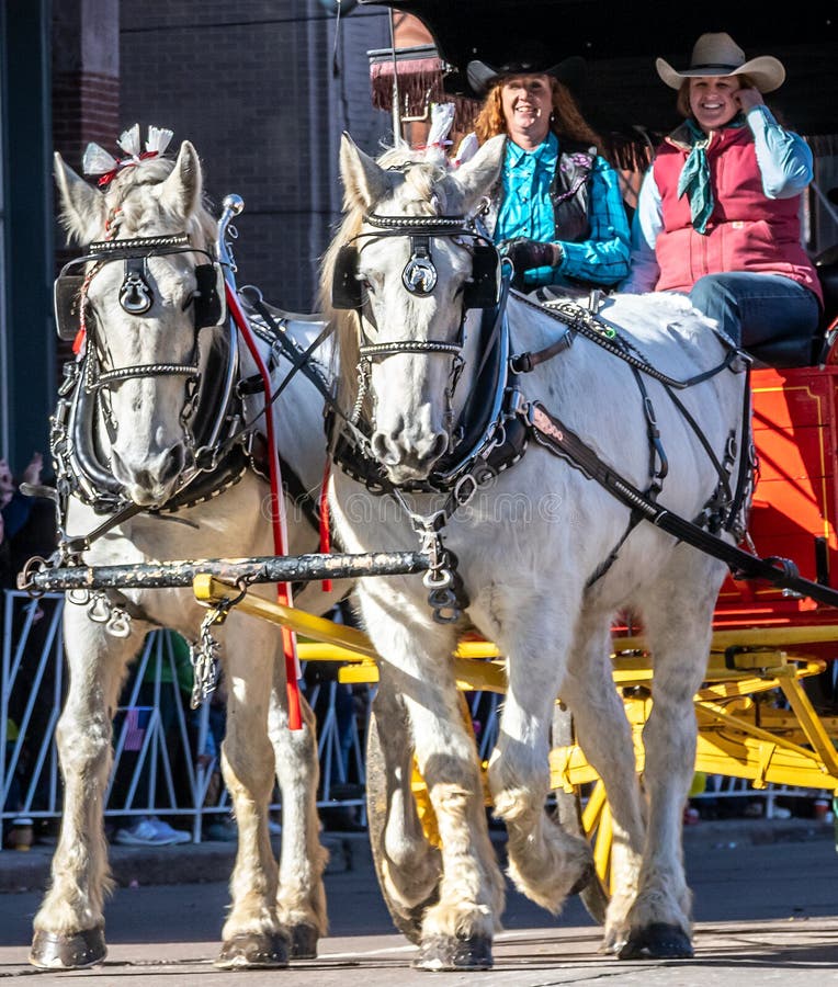 Annual National Western Stock Show Kick-Off Parade travels up 17 Street stock photos Annual National Western Stock Show Kick-Off Parade travels up 17 Street stock photos