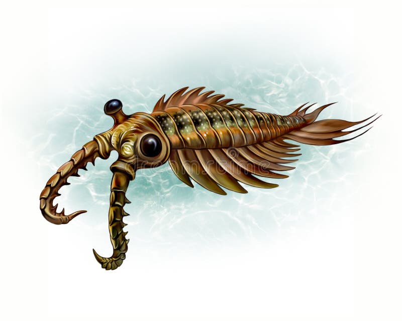 Anomalocaris - an Extinct Animal Stock Illustration - Illustration of predator, organism: 217029278 Anomalocaris - an Extinct Animal Stock Illustration - Illustration of predator, organism: 217029278