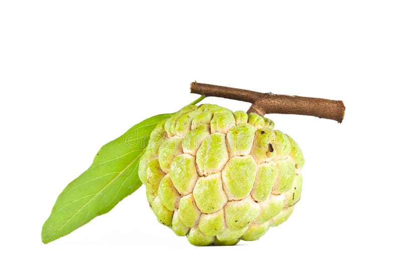 Fruta de la anona foto de archivo. Imagen de comestible 26448332