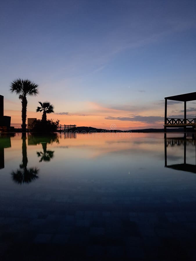 Another day in paradise stock photo. Image of tree, sunrise 295046432