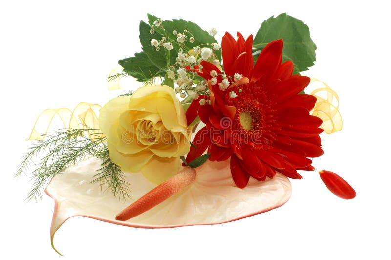 Ansammlung Blumen lizenzfreie stockfotos Ansammlung Blumen lizenzfreie stockfotos