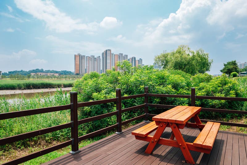 Ansan Reed Marsh Park and Apartment Buildings in Ansan, Korea Stock Image Image of field