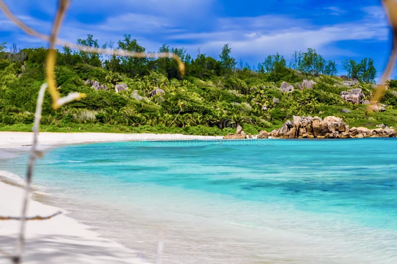 Anse Cocos - los angeles Digue, Seychelles - zdjęcie royalty free Anse Cocos - los angeles Digue, Seychelles - zdjęcie royalty free