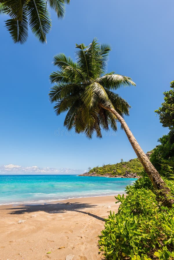 Anse Major Beach Mahe Island Seychelles Stock Image Image Of People