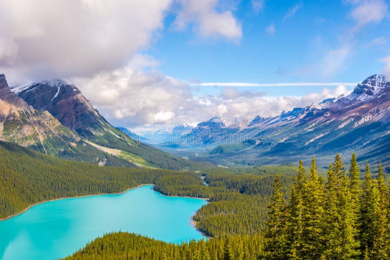 Ansicht in dem Peyto See und dem Nordgebirgsgebirgsmassiv vom Bogen-Gipfel im Kanadier Rocky Mountains - Nationalpark Banffs stockfotos Ansicht in dem Peyto See und dem Nordgebirgsgebirgsmassiv vom Bogen-Gipfel im Kanadier Rocky Mountains - Nationalpark Banffs stockfotos