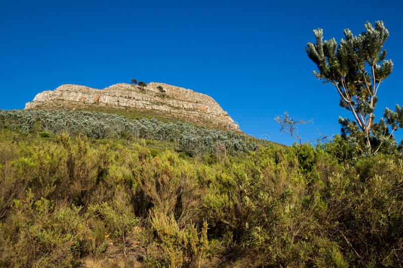 Ansicht der Spitze des Kopfes des Löwes, Bergspitze in Cape Town lizenzfreie stockbilder Ansicht der Spitze des Kopfes des Löwes, Bergspitze in Cape Town lizenzfreie stockbilder