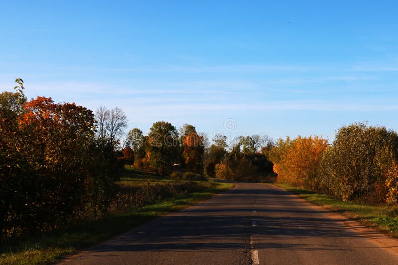 Ansicht der Straße und der Bäume an einem sonnigen vollen Tag lizenzfreie stockfotos Ansicht der Straße und der Bäume an einem sonnigen vollen Tag lizenzfreie stockfotos