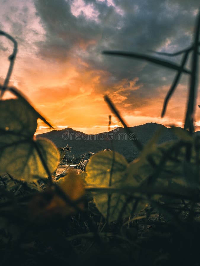 Ansicht des Berges während des Sonnenuntergangs stockfoto Ansicht des Berges während des Sonnenuntergangs stockfoto