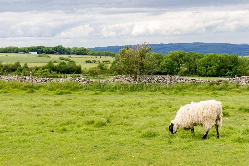Ansicht des Cotswolds von Cleeve-Hügel nahe Cheltenham lizenzfreie stockbilder Ansicht des Cotswolds von Cleeve-Hügel nahe Cheltenham lizenzfreie stockbilder