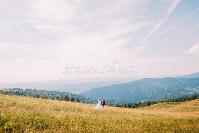 Ansicht des goldenen Sommerfeldes mit zwei romantischen jungen Leuten, die an gehen Majestätisches Forest Hills unter atemberaube stockfotos Ansicht des goldenen Sommerfeldes mit zwei romantischen jungen Leuten, die an gehen Majestätisches Forest Hills unter atemberaube stockfotos
