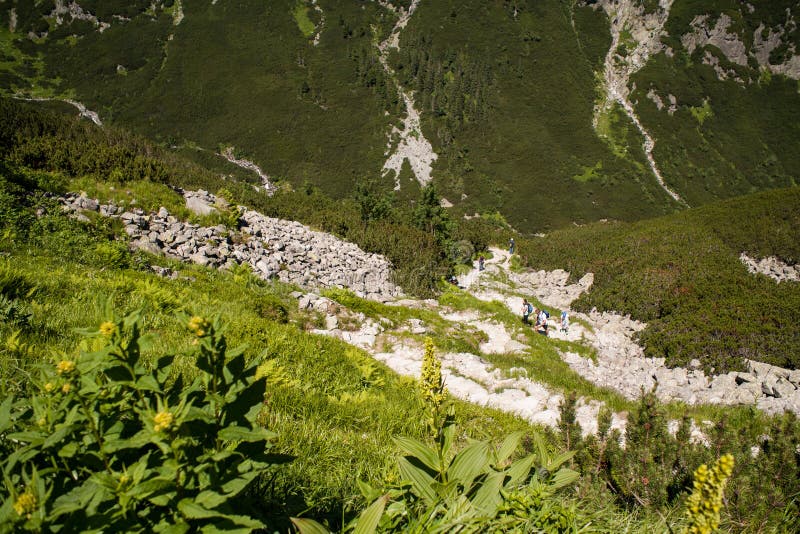 Ansicht des Tales von fünf Teichen, tatra Berge lizenzfreies stockbild Ansicht des Tales von fünf Teichen, tatra Berge lizenzfreies stockbild