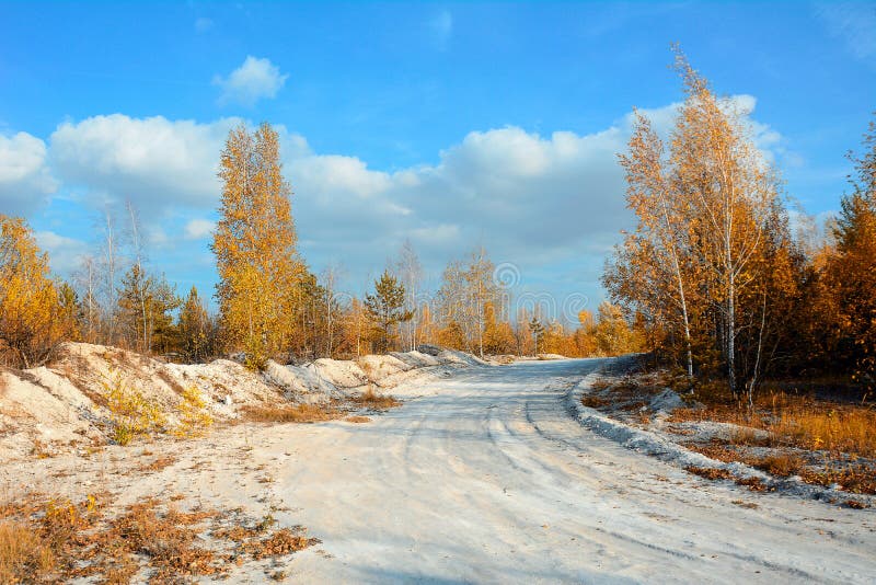 Ansicht einer weißen Weg der Kreide in einem Herbstwald an einem klaren, sonnigen Tag lizenzfreie stockfotografie
