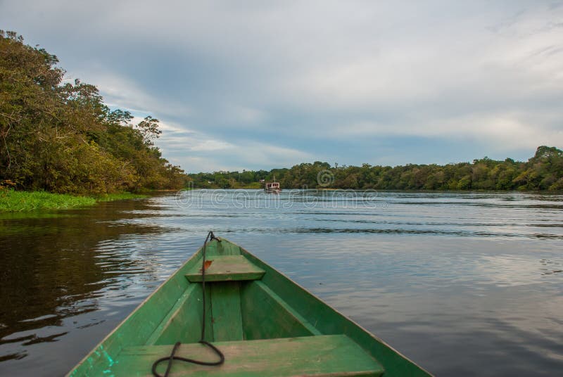 Ansicht vom Boot beim Amazonas, mit einem dichten Wald auf dem Ufer und dem blauen Himmel, Anazonas, Brasilien lizenzfreie stockfotografie Ansicht vom Boot beim Amazonas, mit einem dichten Wald auf dem Ufer und dem blauen Himmel, Anazonas, Brasilien lizenzfreie stockfotografie