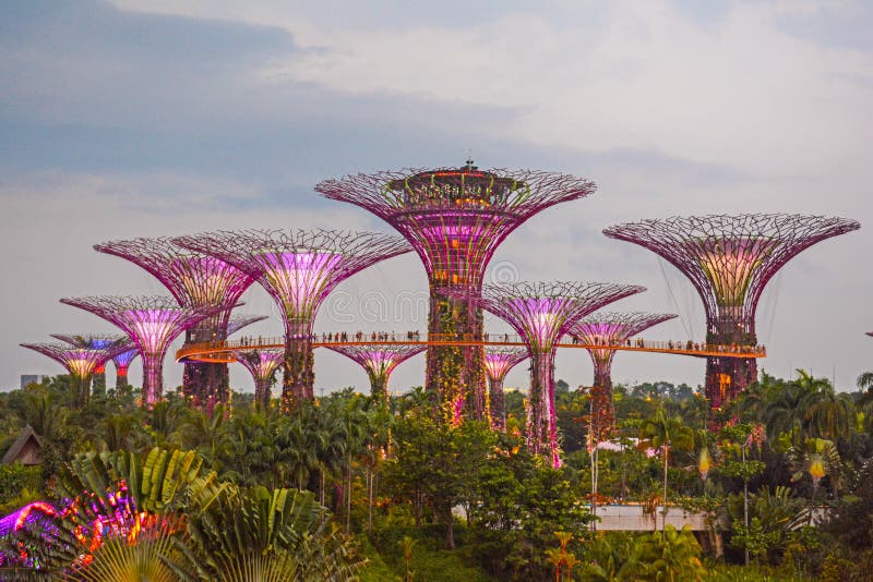 Ansicht Von Supertree Am Garten Durch Die Bucht, Singapur
