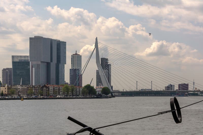Ansicht zu Erasmusbrug Erasmus Bridge über vom Fluss Nieuwe Maas lizenzfreies stockfoto Ansicht zu Erasmusbrug Erasmus Bridge über vom Fluss Nieuwe Maas lizenzfreies stockfoto