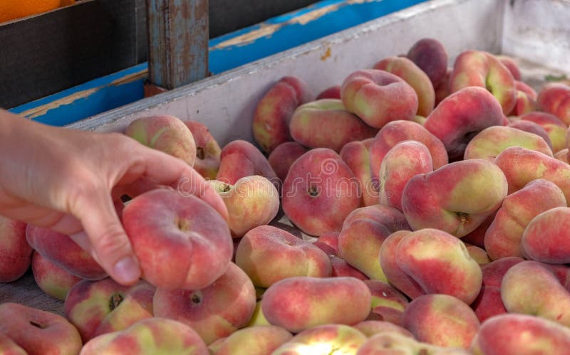 Ansicht über frischen reifen saftigen Saturn-Pfirsich vom Landwirtmarkt stockfotografie Ansicht über frischen reifen saftigen Saturn-Pfirsich vom Landwirtmarkt stockfotografie