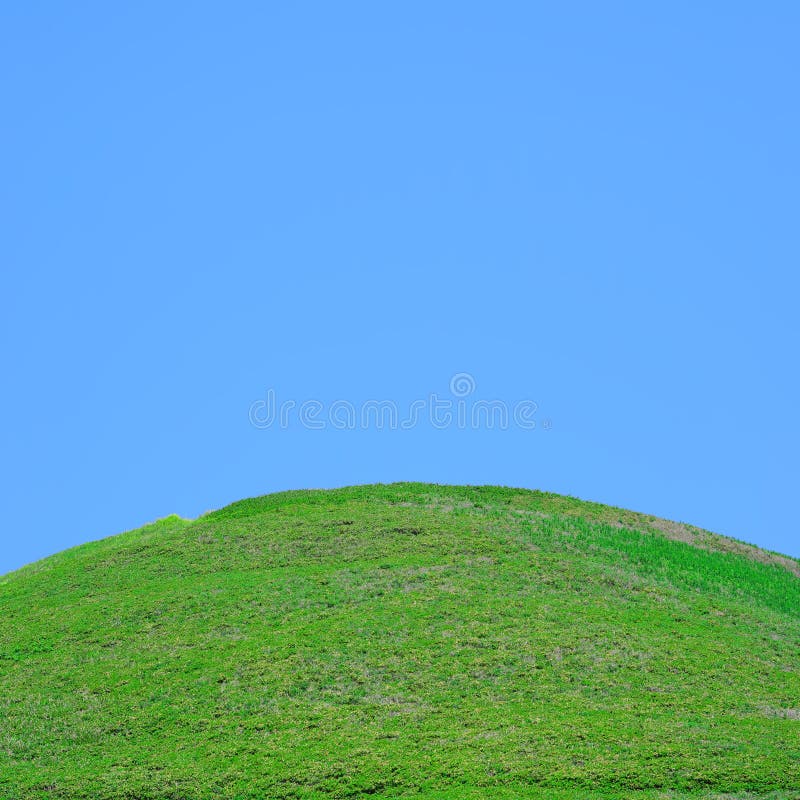 Grasiges Feld am Hang lizenzfreie stockfotos