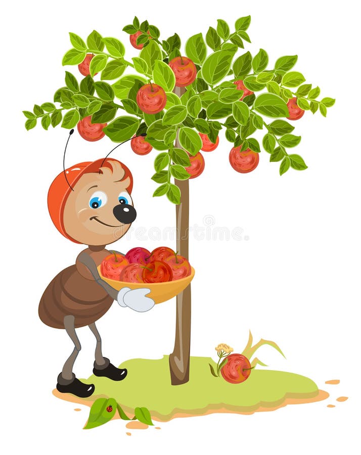 Ant Gardener verzamelt appelen Apple-boom en rode rijpe appelen boomgaard vector illustratie Ant Gardener verzamelt appelen Apple-boom en rode rijpe appelen boomgaard vector illustratie
