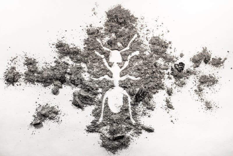 Ant or termite silhouette drawing made in ash stock image Ant or termite silhouette drawing made in ash stock image
