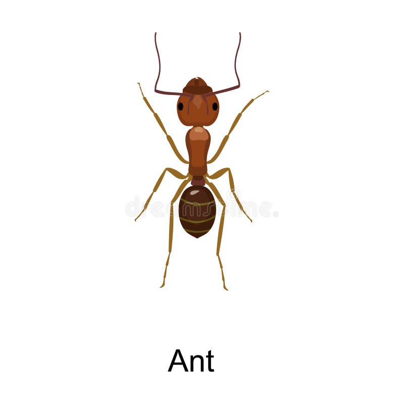 Animated Ant Stock Illustrations – 103 Animated Ant Stock Illustrations, Vectors & Clipart - Dreamstime Animated Ant Stock Illustrations – 103 Animated Ant Stock Illustrations, Vectors & Clipart - Dreamstime