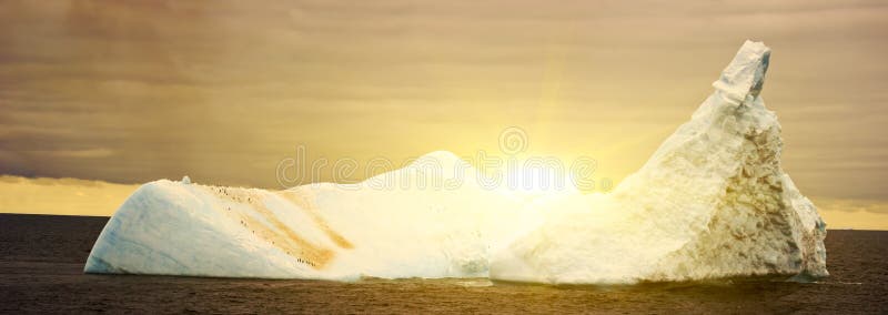 Antarctic ice island