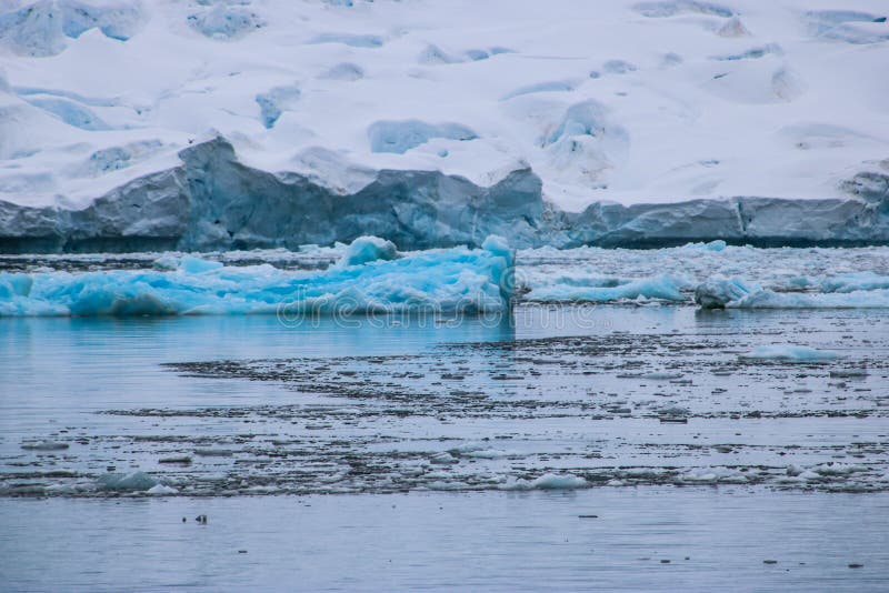 Antarctica in winter stock image. Image of january, penguins 110041945