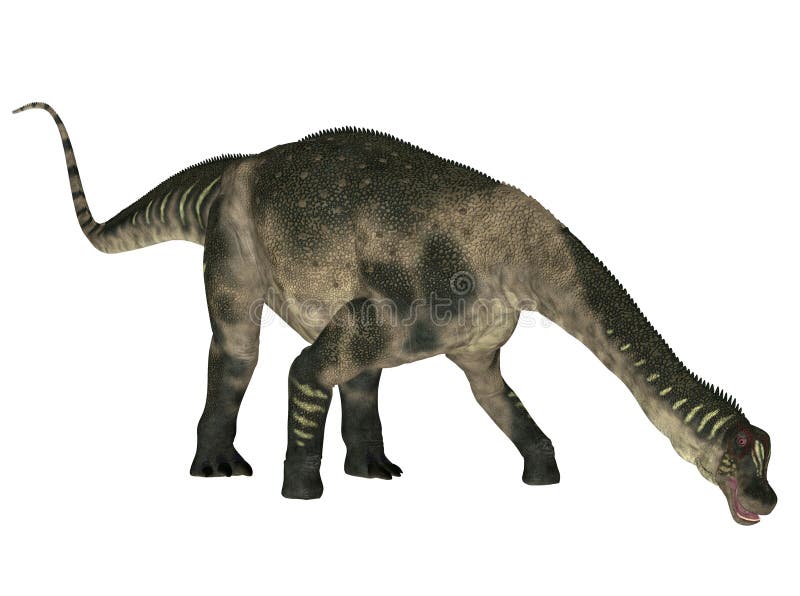 Illustration of an Antarctosaurus (dinosaur species) isolated on a white background