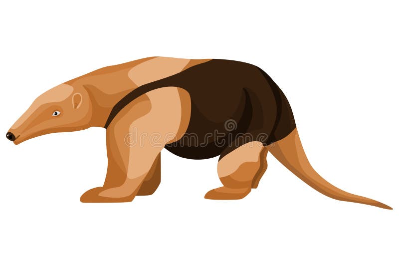 Southern tamandua transparent background PNG cliparts free