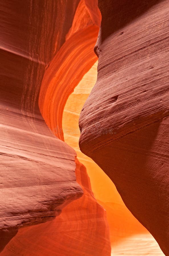 Kaibito Stock Photos Free & RoyaltyFree Stock Photos from Dreamstime