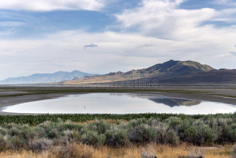 Antelope Island State Park lizenzfreies stockbild Antelope Island State Park lizenzfreies stockbild