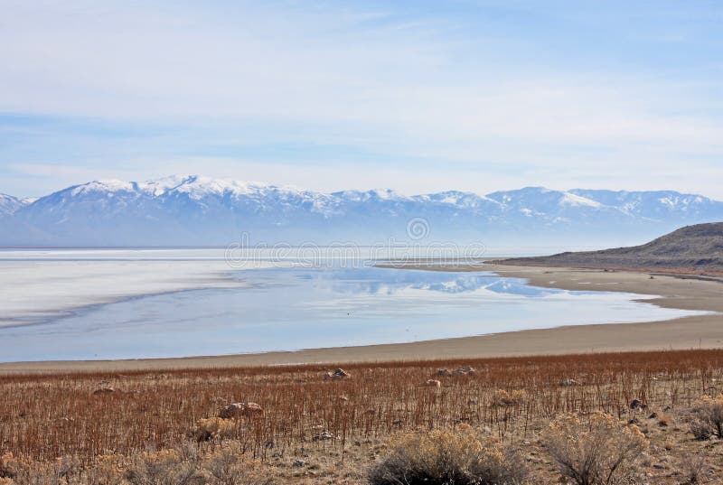 are dogs allowed on antelope island