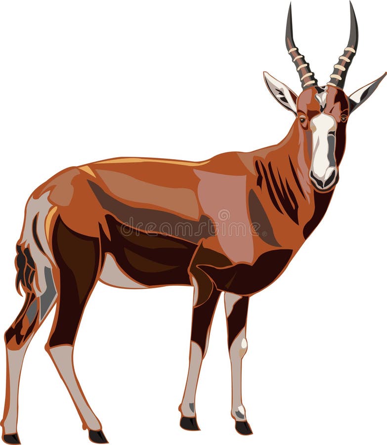 Antelope Series Greater Kudu Stock Vector Illustration of kudu, hoof