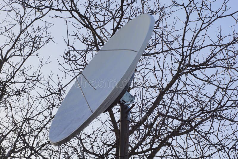 Antena parabólica grande en el fondo de ramas y del cielo grises imágenes de archivo libres de regalías Antena parabólica grande en el fondo de ramas y del cielo grises imágenes de archivo libres de regalías